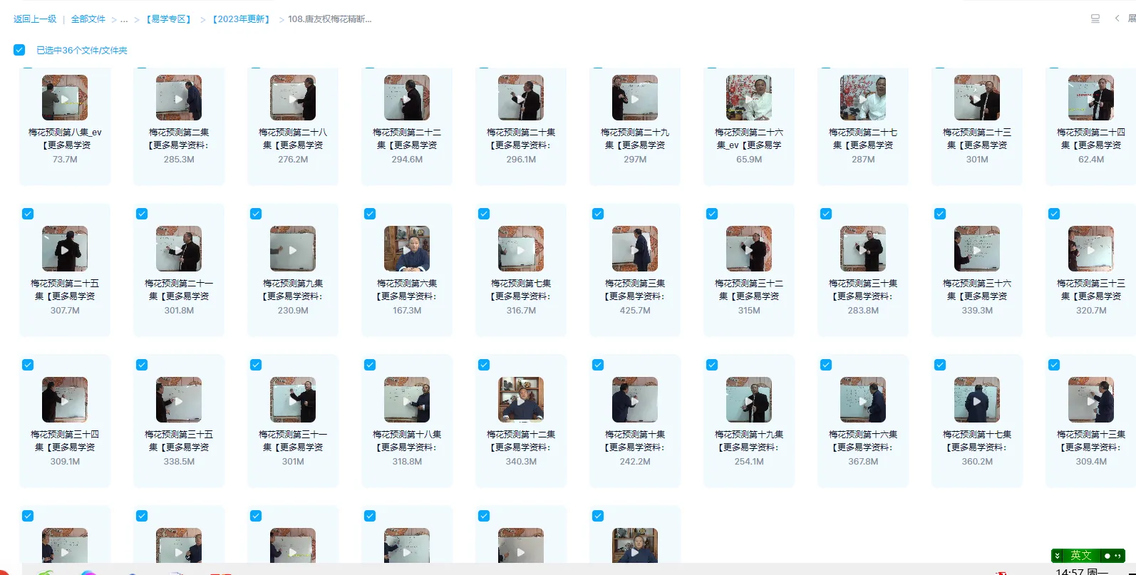Image [1]_Tang Youquan - Plum Blossom Prediction: Plum Blossom Spirit Divination (Video 36 Episodes)_Yijing Mysticism Data Network