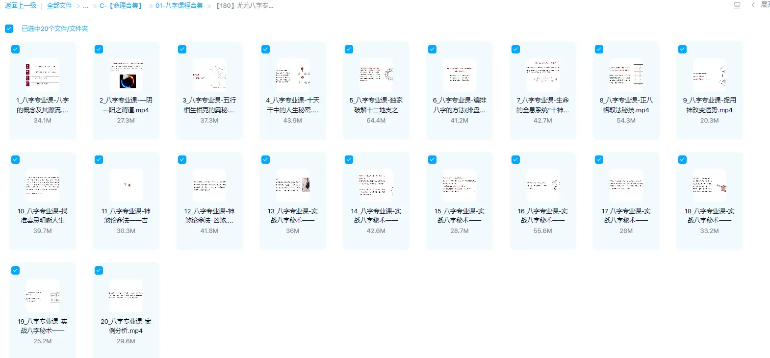 Image[1]_Teacher YouYou - Bazi Professional Course (20 Videos)_Yijing Mysticism Resources Network