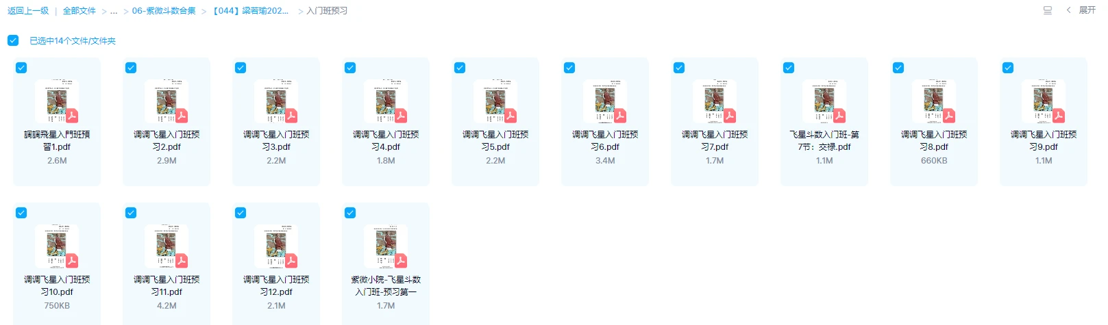 图片[1]_梁若瑜2021至2022年调调飞星紫微斗数（5套课程）_易经玄学资料网