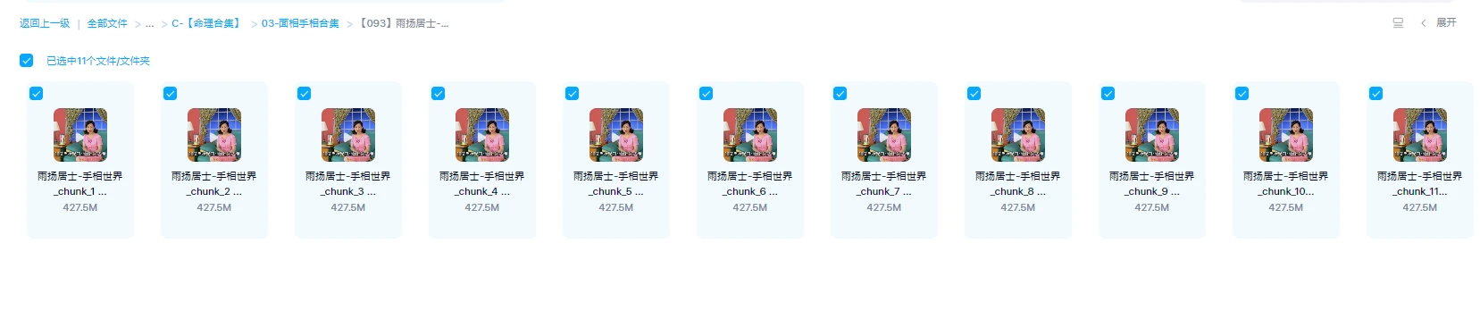이미지[1]_비양거사-수상 세계(비디오 11편)_역경현학자료망