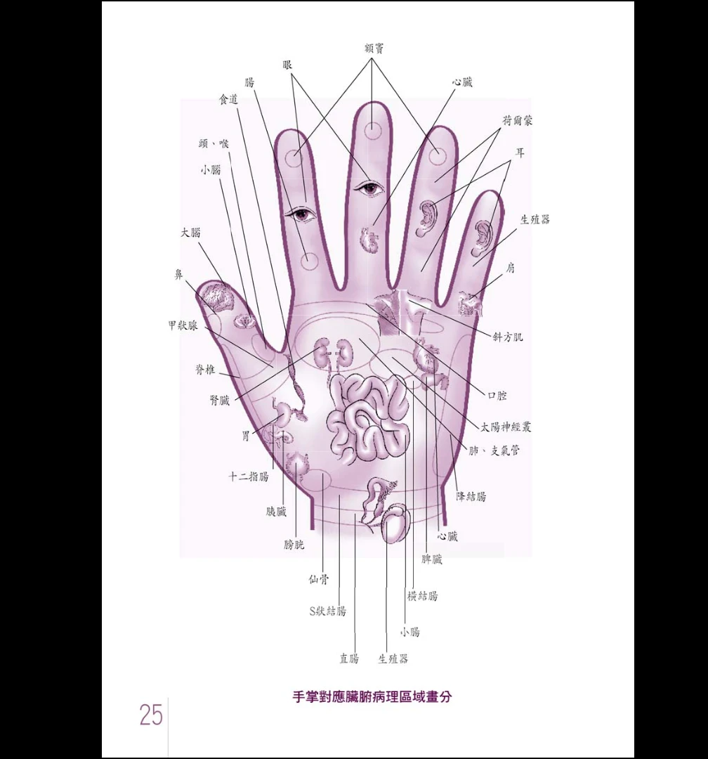 이미지[10]_杜易峰《손금으로 운세를 여는 200문 성격 암호 한 손으로 잡기》PDF 전자책(253페이지)_역학 자료 사이트